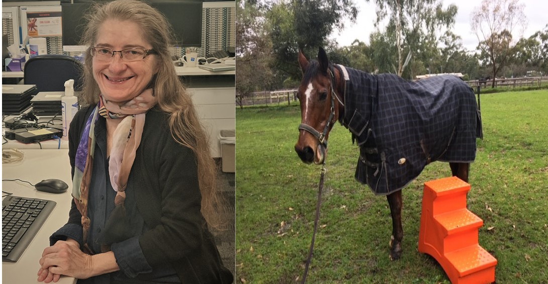 female Indigo staff with long hair and glasses smiling at her desk; brown horse in paddock with coat and saddle standing next to tall mounting steps