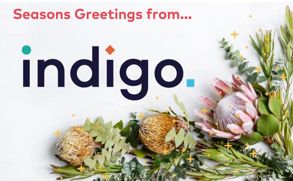 Native flowers with Indigo logo, seasons greetings and stars